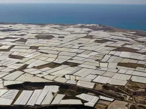 Cerrajero de coches de Cerralmería trabajando en un vehículo en El Ejido